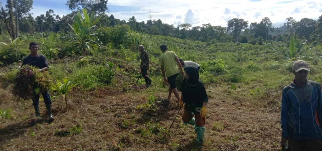 Perkebunan Pinang Batara 